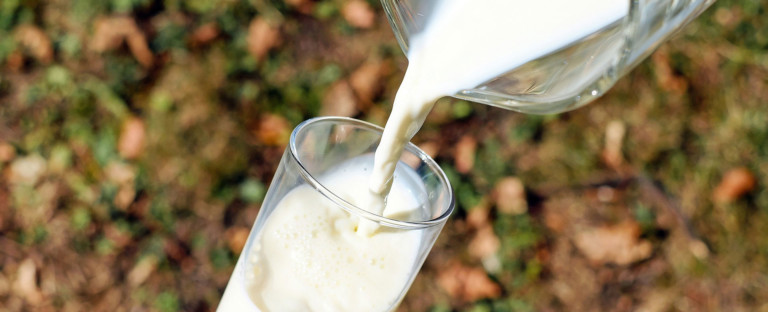Del exceso a cero, mi experiencia con la leche y sus derivados