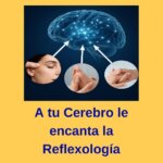 Conferencia Neuro Reflexologia