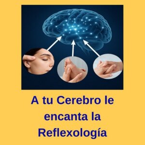 Conferencia Neuro Reflexologia