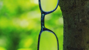 ulleres penjades arbreweb